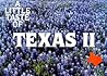 A Little Taste of Texas II (Flavors of Home)