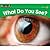 What Do You See? (Rising Readers)
