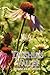 Doshia's Valley by Frances H. Owen