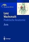 Arm (German Edition)