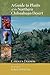 A Guide to Plants of the Northern Chihuahuan Desert