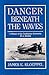 Danger Beneath the Waves: A History of the Confederate Submarine