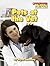 Pets at the Vet (Scholastic News Nonfiction Readers)