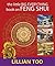 Little Big Everything Book on Feng Shui