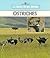 Ostriches (New True Books)