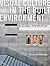 Visual Culture in the Built Environment by Susan M. Winchip