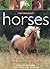 The Book of Horses by Judith Draper