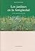 Los jardines en la antigüedad (Letras) (Spanish Edition)