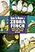 Guide to Owning a Zebra Finch