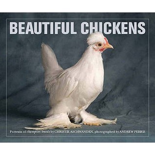 Beautiful Chickens: Portraits of Champion Breeds (Paperback)