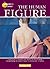 The Human Figure (The Painter's Corner Series)