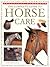 The Complete Guide to Horse Care by Judith Draper