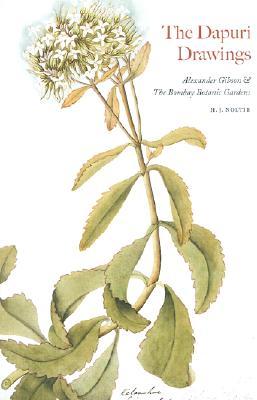 The Dapuri Drawings: Alexander Gibson & the Bombay Botanic Gardens (Hardcover)