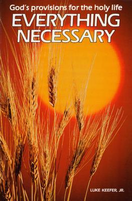 Everything Necessary: God's Provisions for the Holy Life (Paperback)