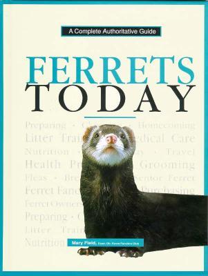 Ferrets Today (Hardcover)