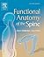Functional Anatomy of the Spine
