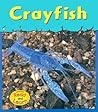 Crayfish by Lola M. Schaefer