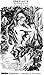 13448006. sy75 