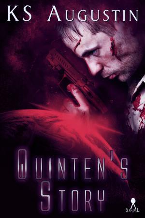 Quinten's Story (Perdition #1)