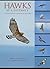 Hawks at a Distance: Identification of Migrant Raptors