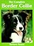 The Complete Border Collie