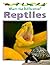 Reptiles (What's the Difference?)