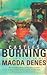 Castles Burning: A Child's ...