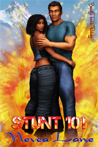 Stunt 101 (Kindle Edition)