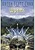 Wyrms: un viaje iniciático