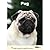 Pug (Dog Breed Expert Series)