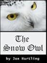 The Snow Owl by Jon Hartling