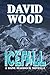 Icefall by David  Wood
