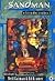 Sandman: o livro dos sonhos...