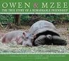 Owen and Mzee by Isabella Hatkoff