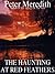 The Haunting at Red Feathers
