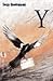Y (Trilogie de K #1)