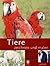 Tiere zeichnen und malen