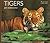 Tigers (World Life Library)