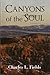Canyons of the Soul