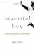 Beautiful Boy by David Sheff