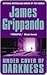 Under Cover Of Darkness by James Grippando