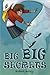 Big Big Secrets by Robert Arley