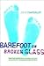 Barefoot on Broken Glass: The Five Secrets of Personal Success in a Massively Changing Business World