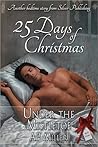 Under the Mistletoe (Christmas Wishes Book 1)