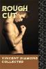 Rough Cut: Vincent Diamond Collected