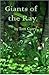 Giants of the Ray