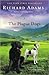 The Plague Dogs by Richard  Adams