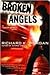 Broken Angels (Takeshi Kova...