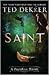 Saint by Ted Dekker