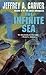 The Infinite Sea (Chaos Chronicles, #3)
